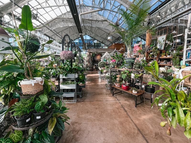 Interior of The Gardens greenhouse