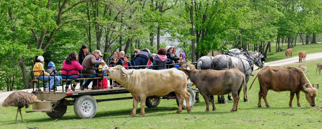 Unwind In Ohio Amish Country A Perfect Fall Getaway Visit Amish Country 