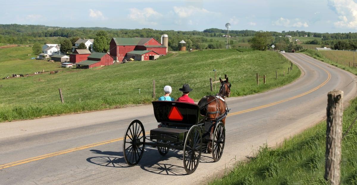 Amish Buggy on the Amish Country Scenic Byway