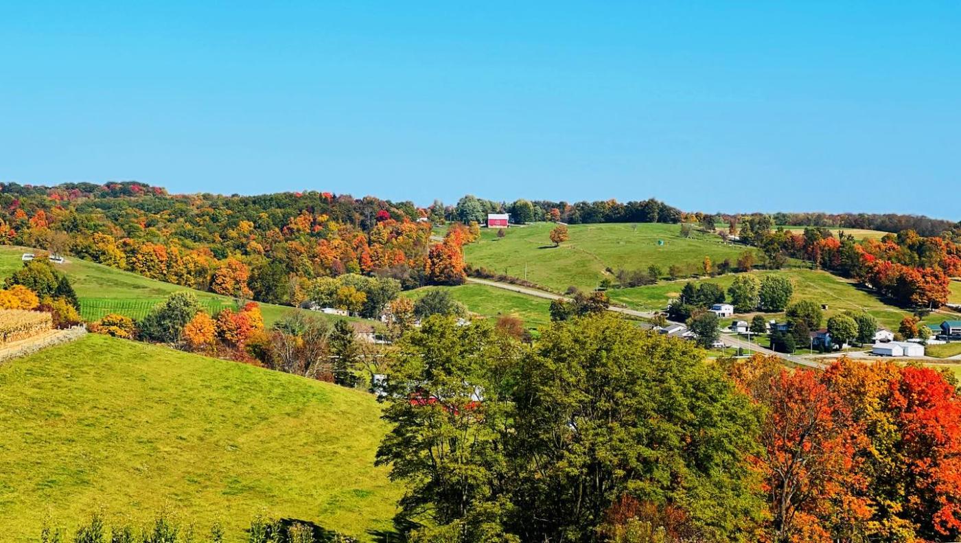 Autumn leaves through the hillsides of Holmes County